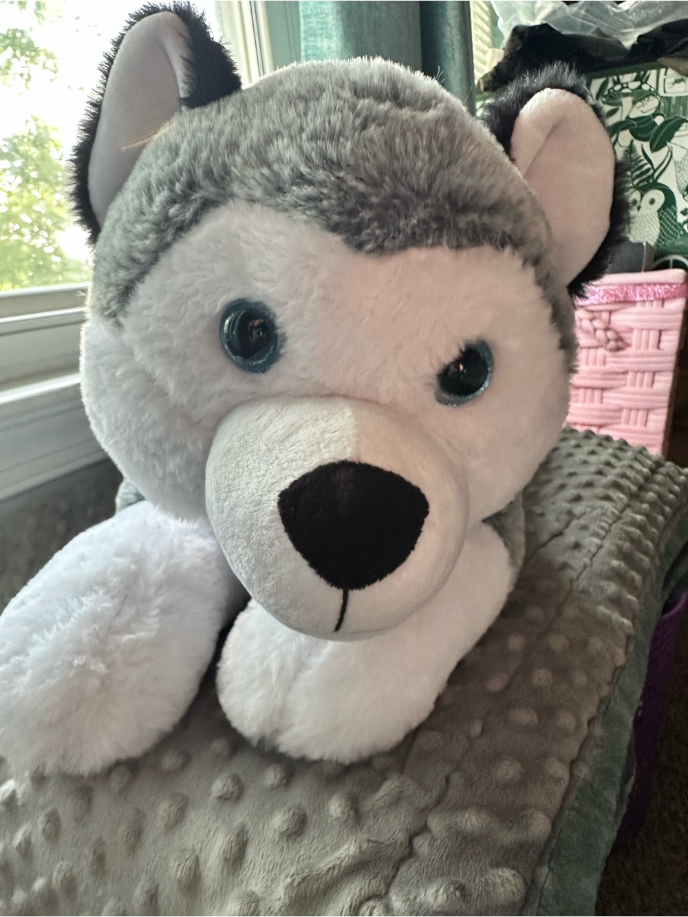 Peek-A-Boo Husky Plush Toy - Gray & White 18”